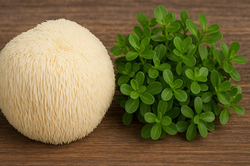 Lionsmane & Brahmi: Nature’s Brain Boosting Duo